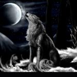 LIVE OAKS MOBILE FAMILY COMMUNITY PARK