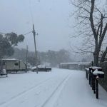 Moye Hill RV Park