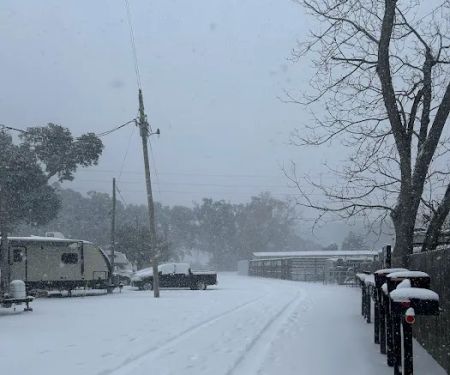 Moye Hill RV Park