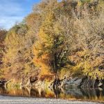 Cedar Sage Campground