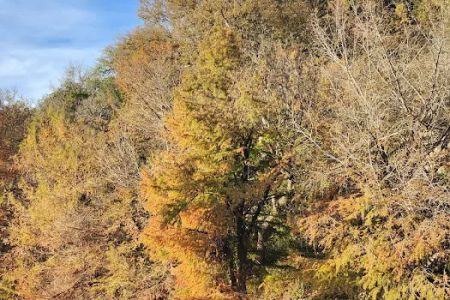 Cedar Sage Campground