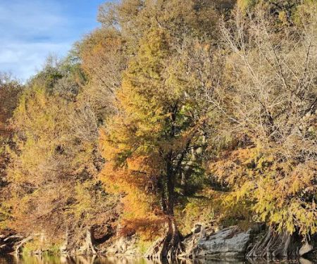 Cedar Sage Campground