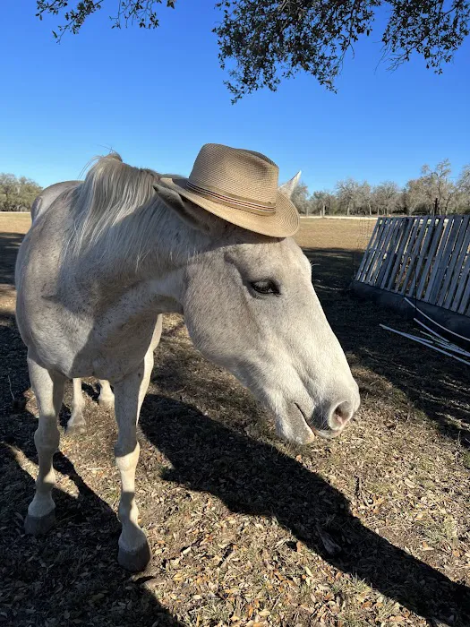 4B Ranch RV Park 7