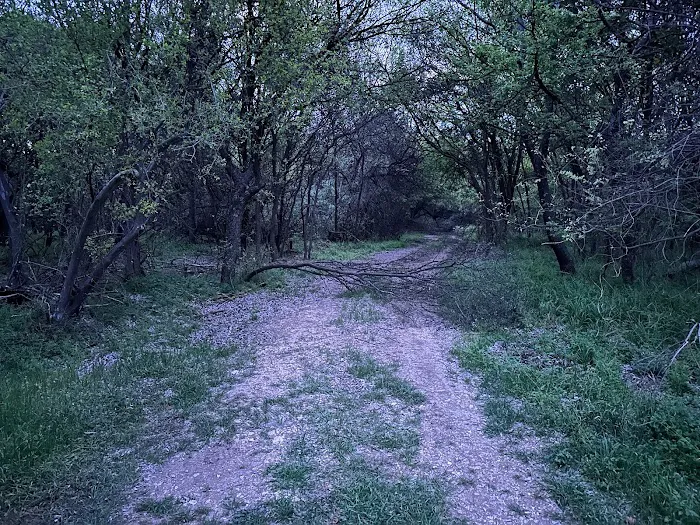 Lost Woods Campground 2