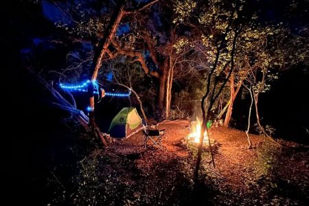 Lost Woods Campground