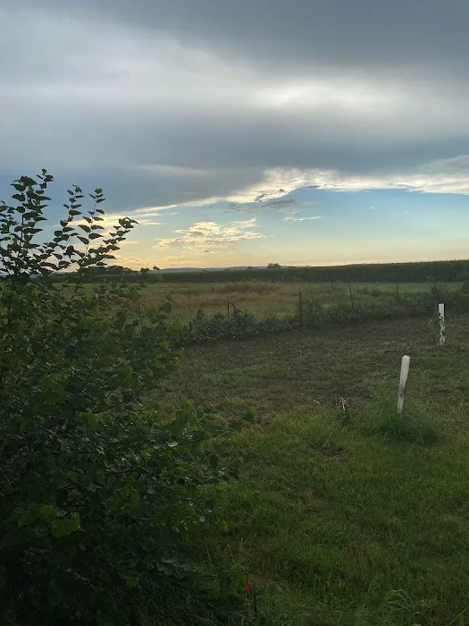 Evening Breeze RV Park 5