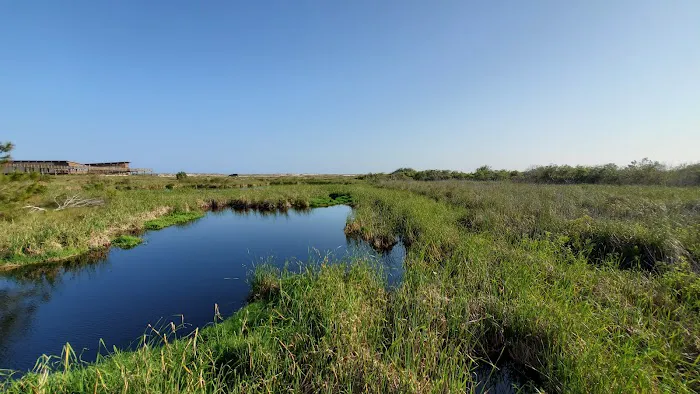 Gulf State Park Campground 5