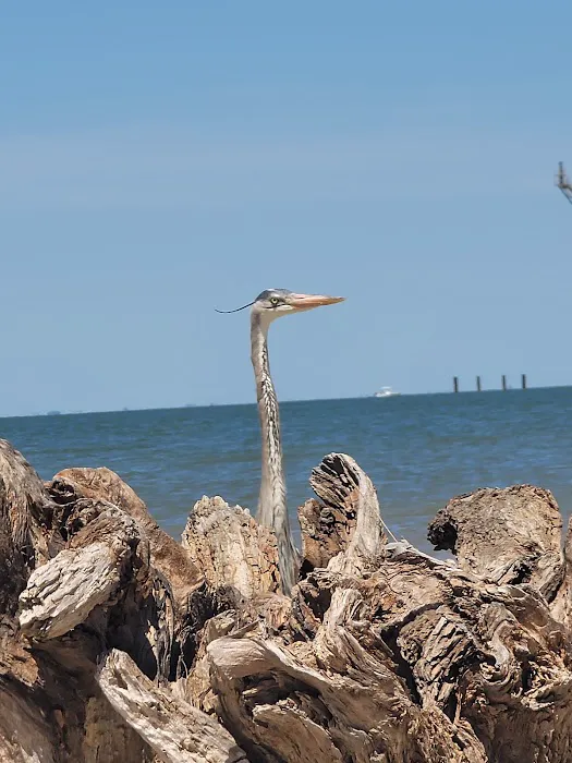 Sun Outdoors Orange Beach 8