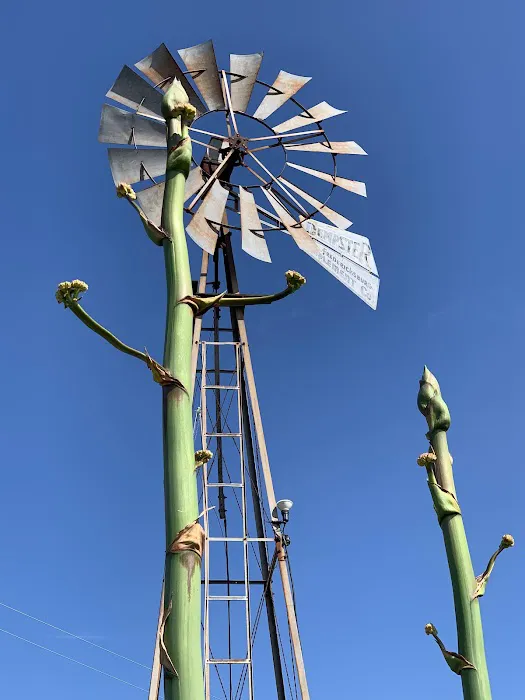 Peach Country RV Park 4