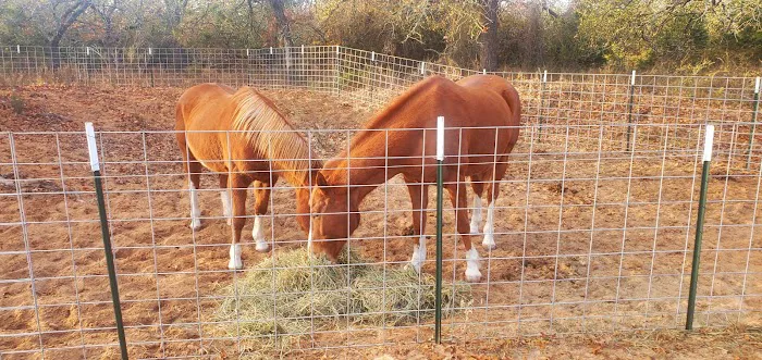 LaRock RV & Horse Camp 2