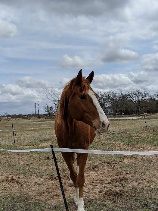 LaRock RV & Horse Camp 5