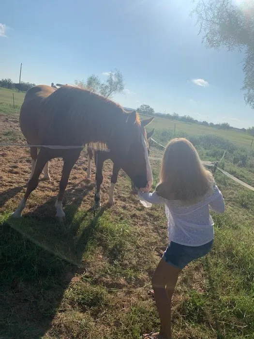 LaRock RV & Horse Camp 10