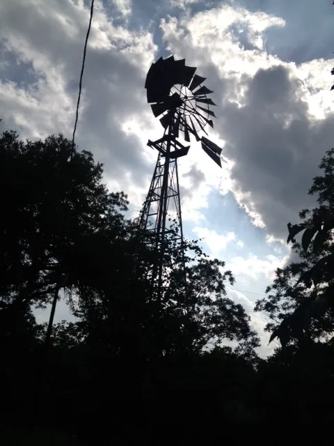 Pecan Grove Campground 4