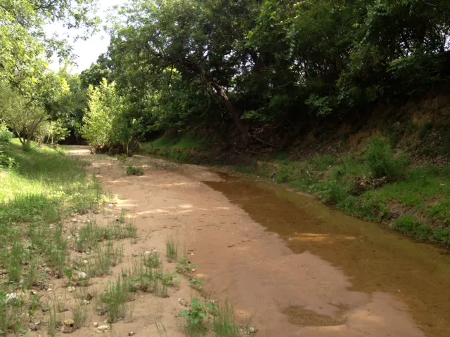 Pecan Grove Campground 6