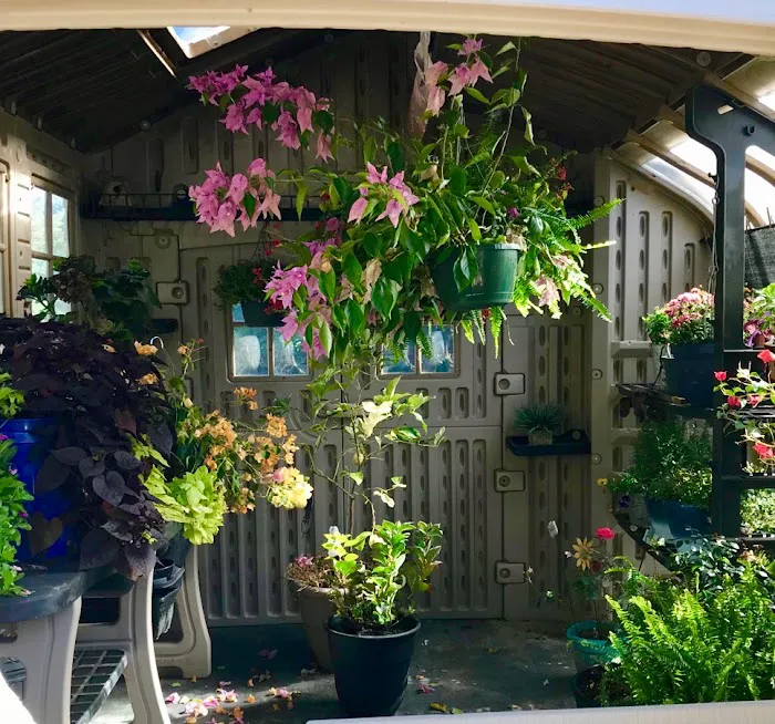 Fox Creek RV Resort 1