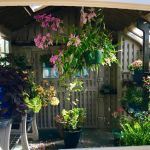 Fox Creek RV Resort
