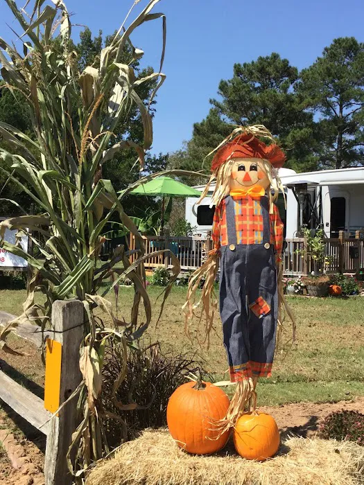 Fox Creek RV Resort 3