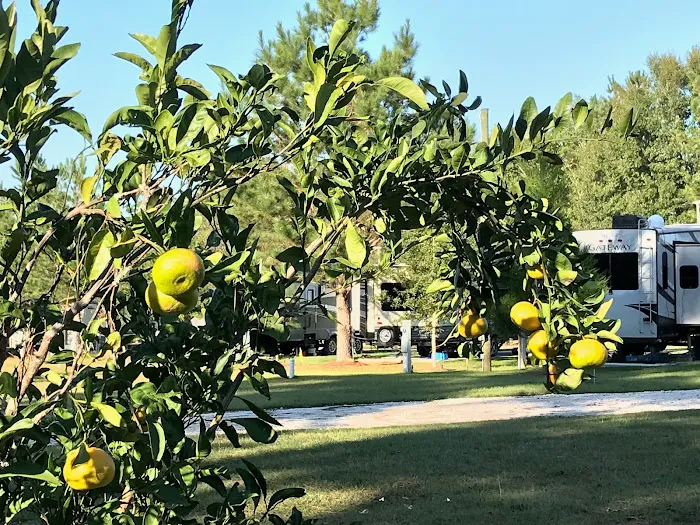 Fox Creek RV Resort 5