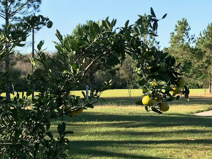 Fox Creek RV Resort 4