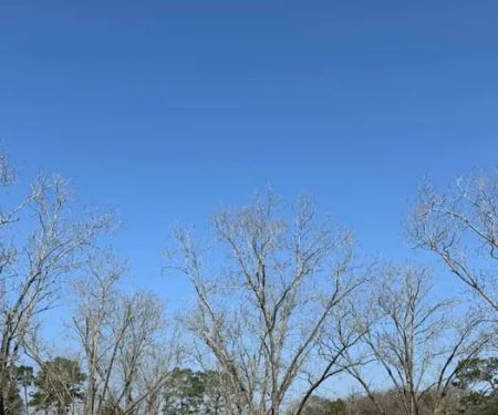 Graystone RV Park