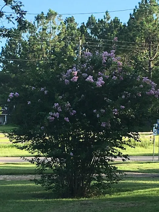 Graystone RV Park 3