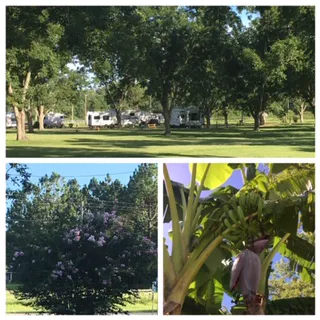 Graystone RV Park 7