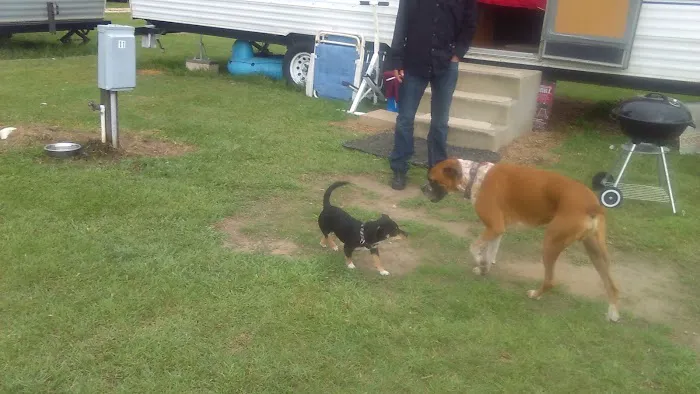 CountrySide RV Park 9