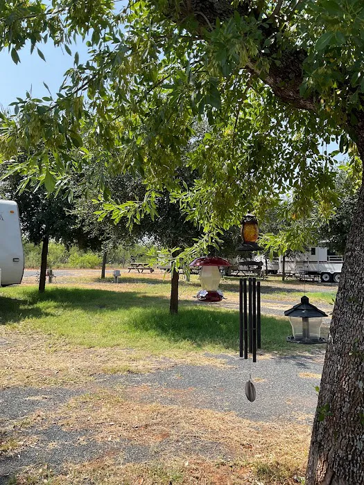Bella Vita RV Park 4