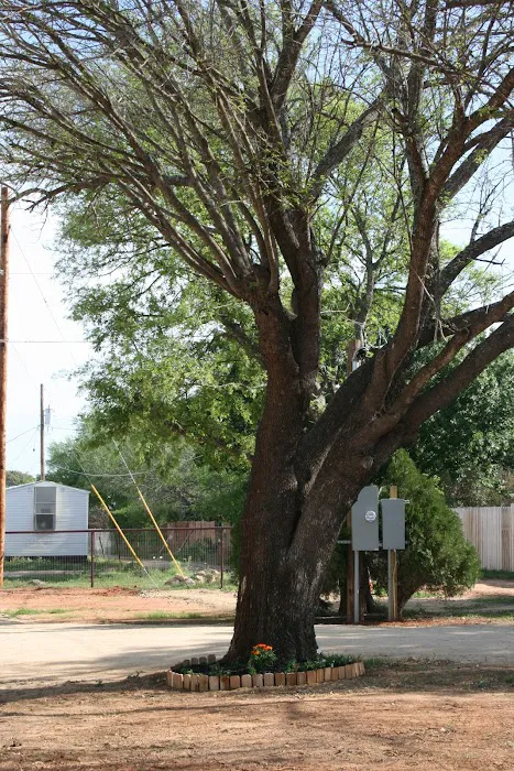 Southern Star RV Park 7