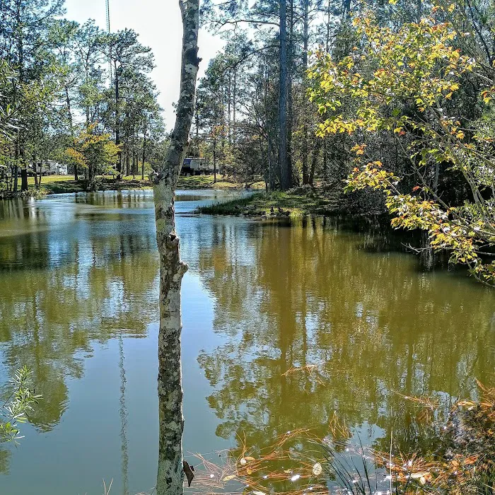 Wilderness RV Park 4