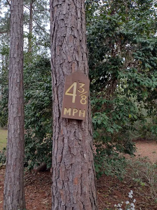 Wilderness RV Park 8