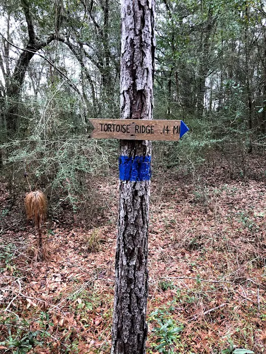 Azalea Acres RV Park 6