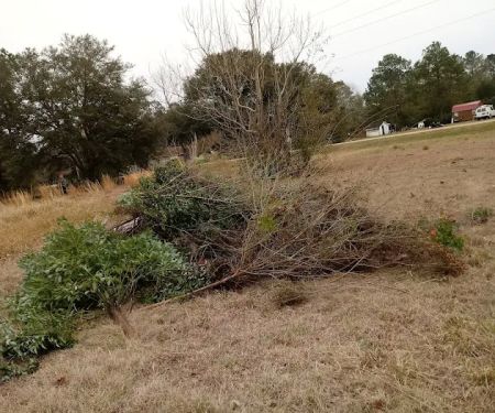 Almost A Park