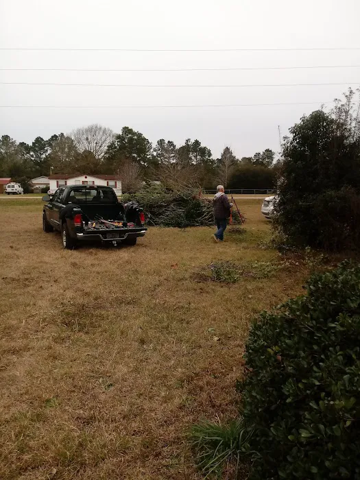 Almost A Park 4