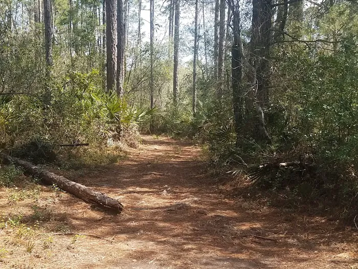 Plantation Harbor RV Resort 10