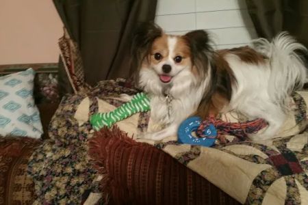 Foothills Mobile Home Ranch
