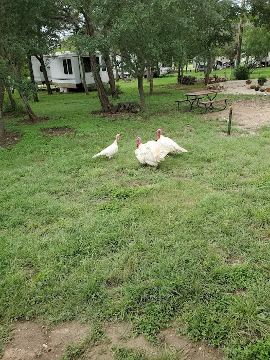 Cowboy Capital RV Park 10