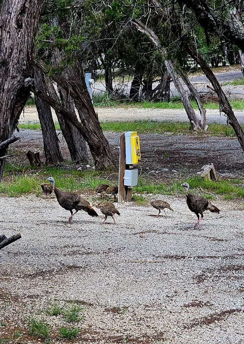 Thousand Trails Medina Lake (RV Campground) 5