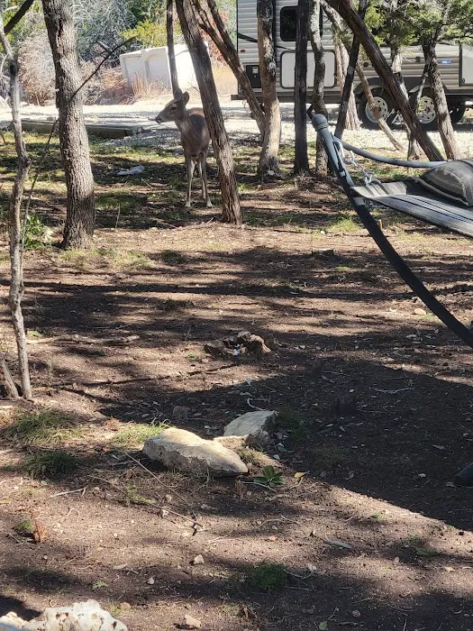 Sereno Medina RV Park 3
