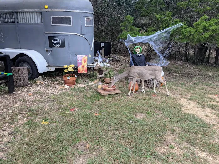 Boulderdash Cabin & RV Park 5