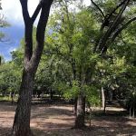Brushy Trail Campground