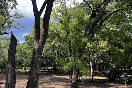 Brushy Trail Campground