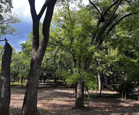 Brushy Trail Campground