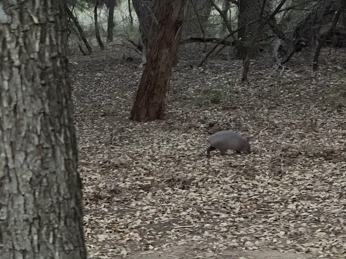 Oak Grove Campground 4