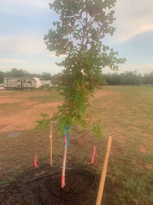 Buffalo Gap RV Park 7