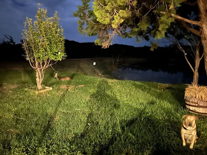 Buffalo Gap RV Park 9