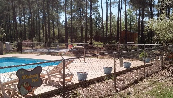 Jellystone Park™ Alabama Gulf Coast 1