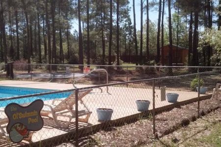 Jellystone Park™ Alabama Gulf Coast