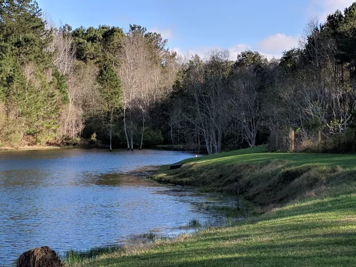 Jellystone Park™ Alabama Gulf Coast 5