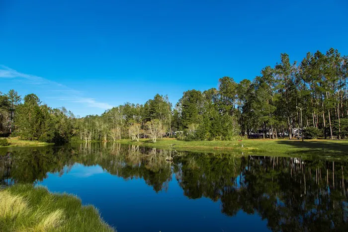 Jellystone Park™ Alabama Gulf Coast 6